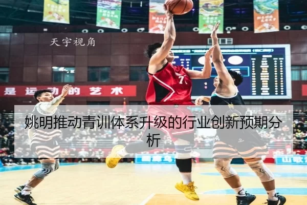 姚明推动青训体系升级的行业创新预期分析