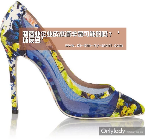 制造业企业成本减半是可能的吗?‘球友会’(图1) qy球友会