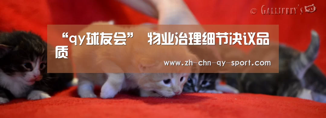 qy球友会