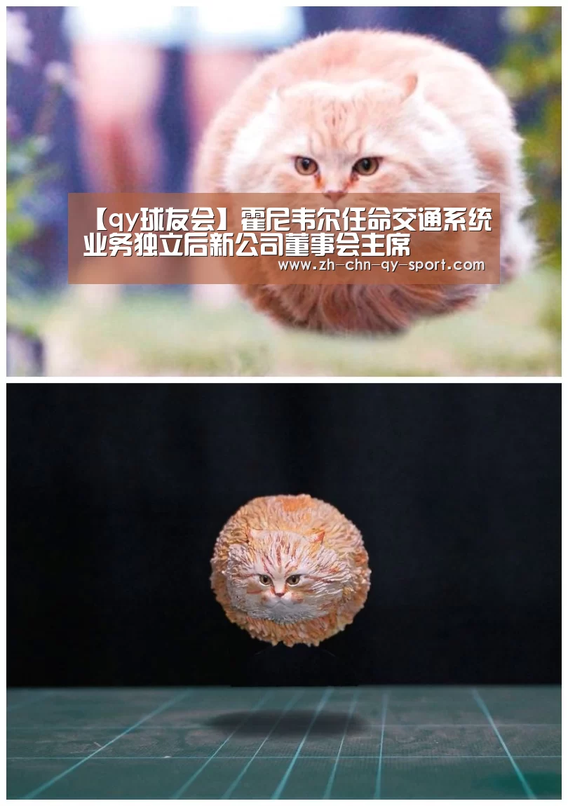 球友会·(QY)官方网站